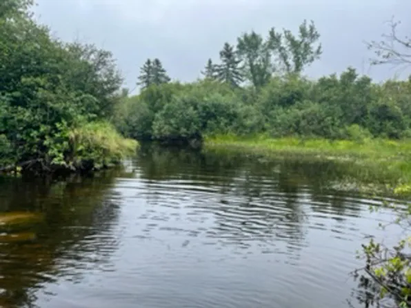 Lot 10 Tucker Ridge Road, Webster Plt, ME 04487