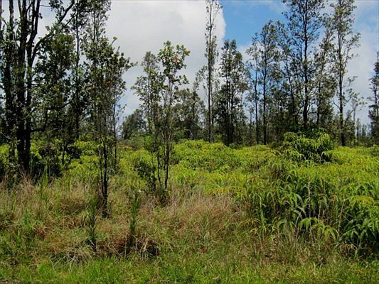 2nd image of Road 9 Koloa Maoli Lot 5510