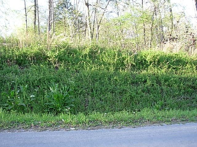 1st image of 0 Peck Ln Lot 1-B