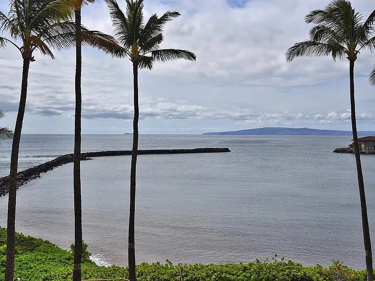 30 Hauoli St #304 — Photo 40