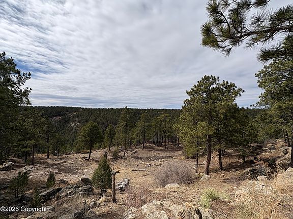 4th image of 142 Bridle Bit Rd