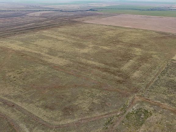 2nd image of 163 / Acres Off Road 23 Of 28 #20