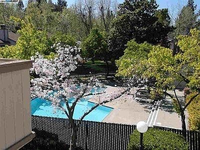 Pool and Laundry on-site