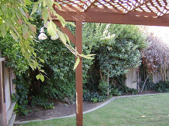 back yard