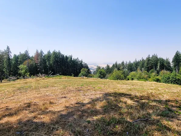 20685 Meadowview Rd #16, Harrisburg, OR 97446