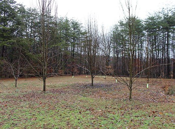 3rd image of 20564 N James Madison Hwy