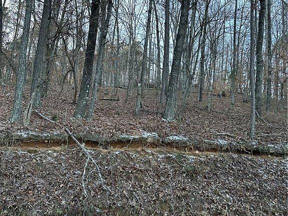 2nd image of 1148 Cokers Chapel Rd