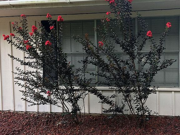 3rd image of 209 Oak Dr