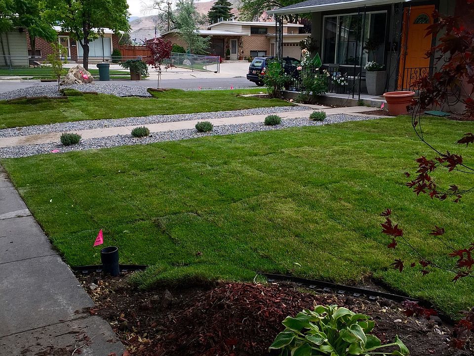 Professionally landscaped
