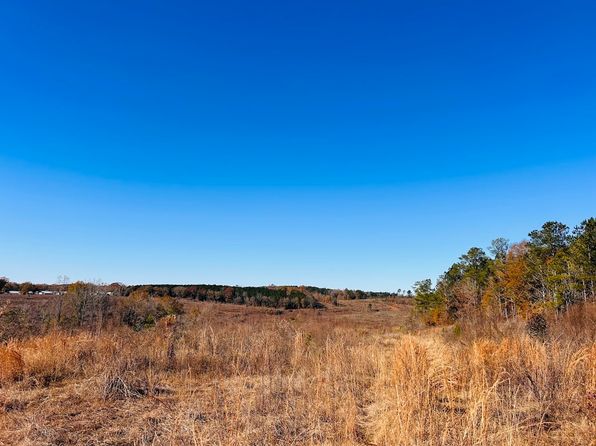0 Jaye Rd, Rupert, GA 31081