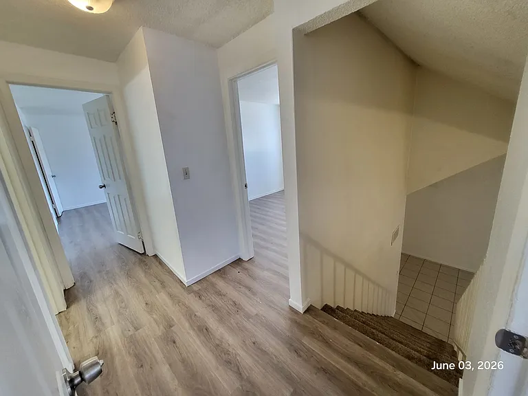 4456 Buena Vista Dr — Photo 17