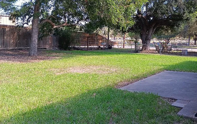 Large shaded and fenced backyard