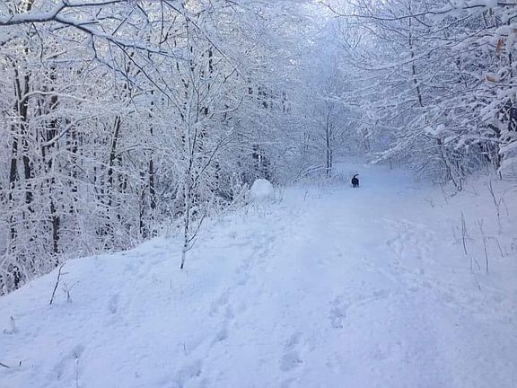trails bordering lot