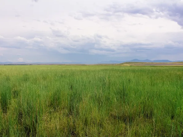 Little Muddy Creek Rnch, Cascade, MT 59421