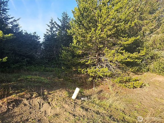 3rd image of 276 S Wynoochee Drive SW