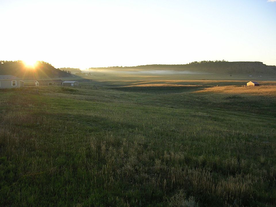 View out back door in 2005