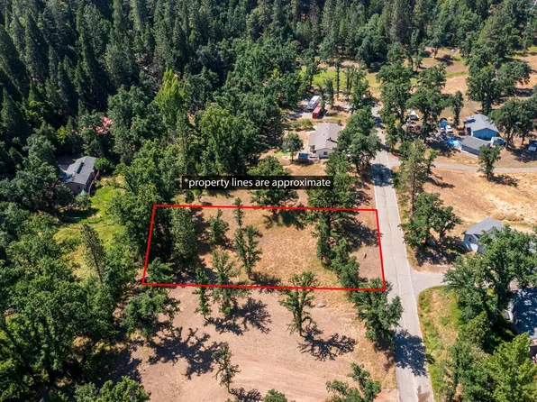 27269 Forrest Oak Rd, Pioneer, CA 95666