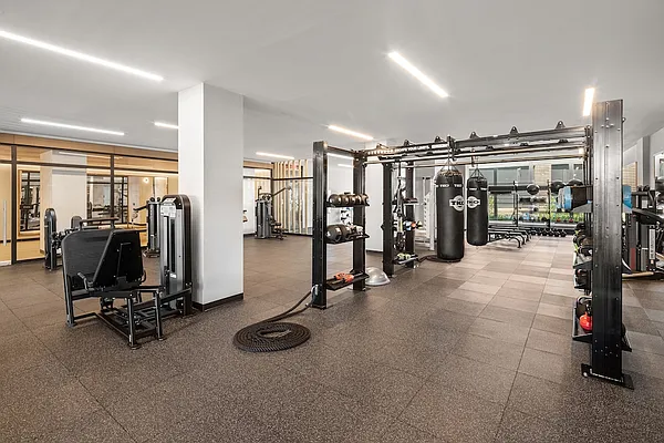 Rented by Gotham Organization | media 8