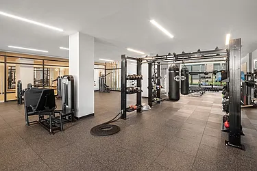 Rented by Gotham Organization