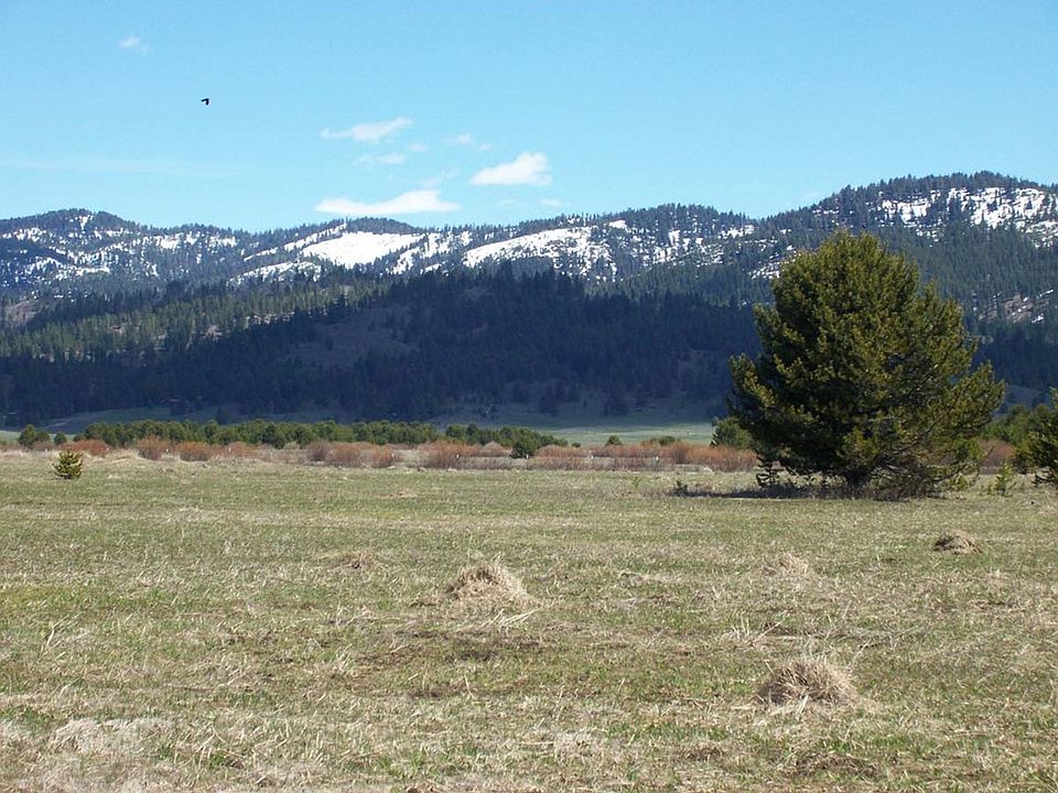 2nd image of 10192 Packsaddle Rd