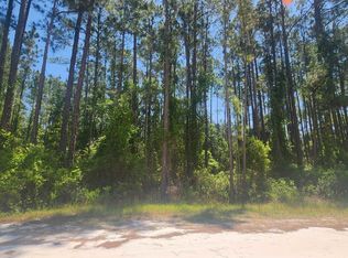 128 Mosswood St, Georgetown, FL 32139