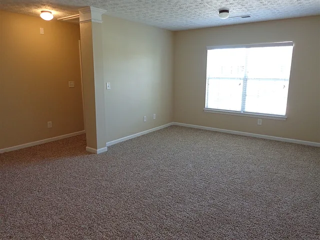 3661 Morinda Dr — Photo 12