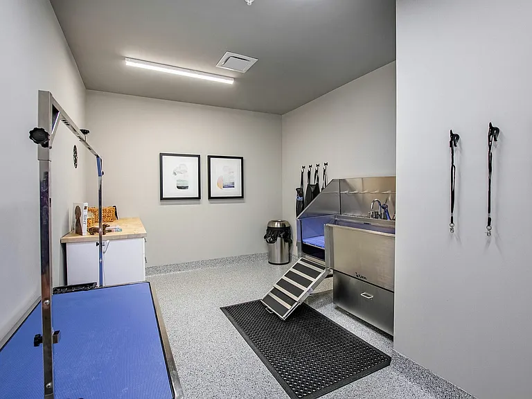 Norwood | Luxury Apartments