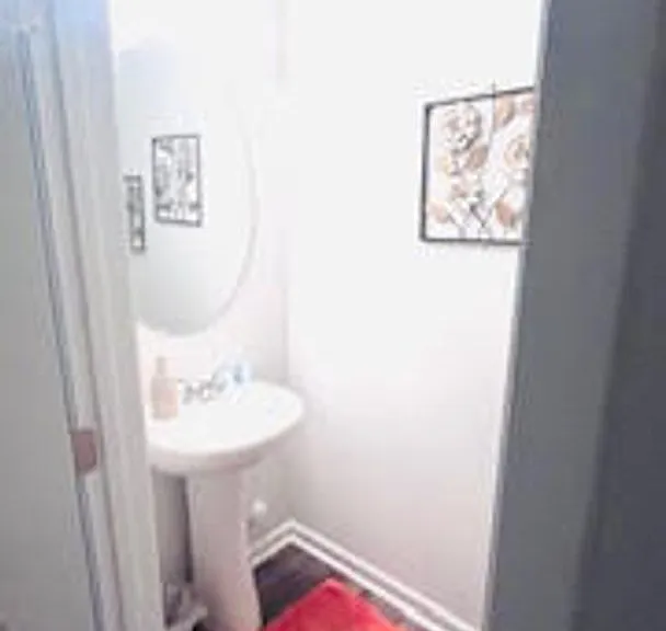 4231 Honeysuckle Vine Dr — Photo 13