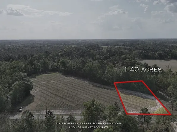 TRACT 1 Spring Branch Rd #0, Baxley, GA 31513