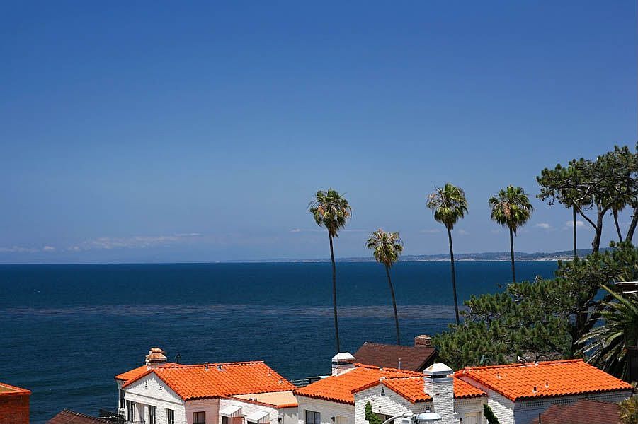 View View View!