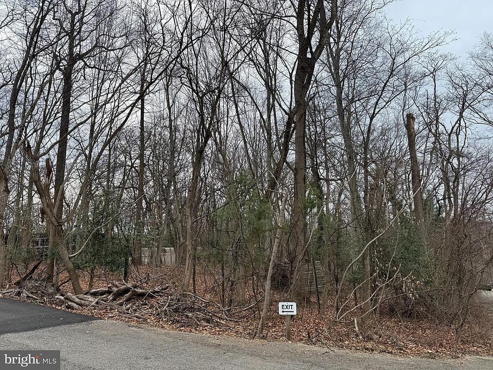 2nd image of 41 Fairview Rd
