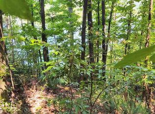 440 Riverview Rd LOT 1, Adger, AL 35006