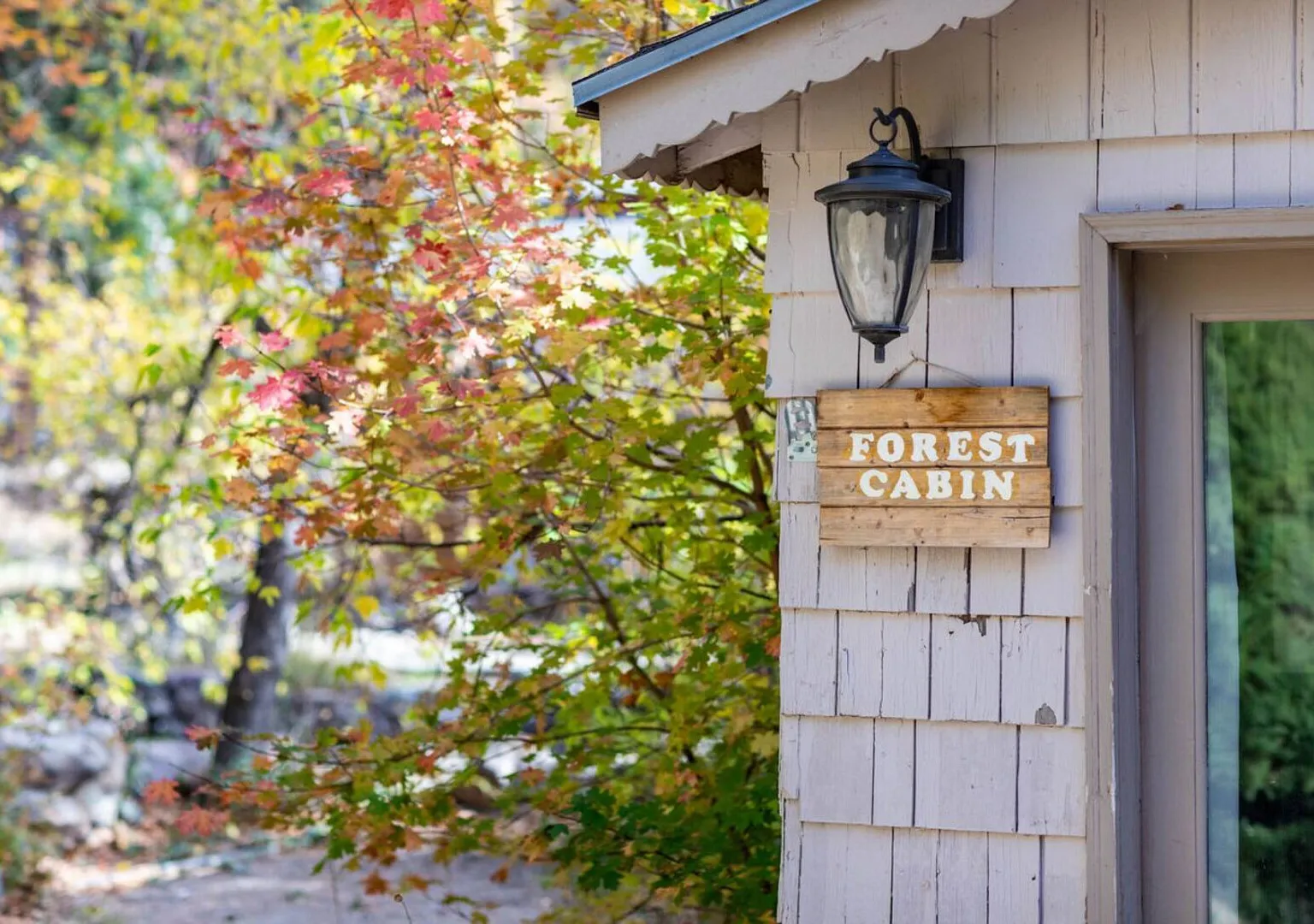 Adorable Studio Cabin on Big Cottonwood River — Photo 4