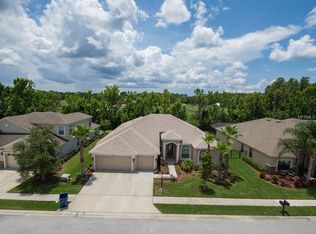15042 Man O War Dr, Odessa, FL 33556