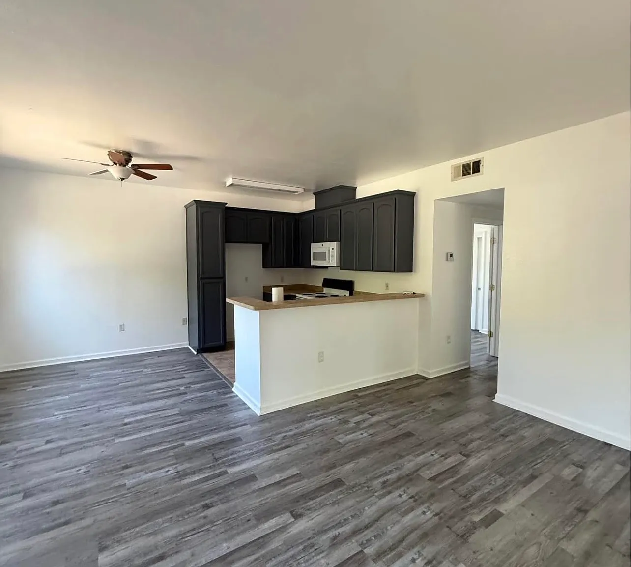 3 bed, 1100 sqft, $1,850 — Photo 3