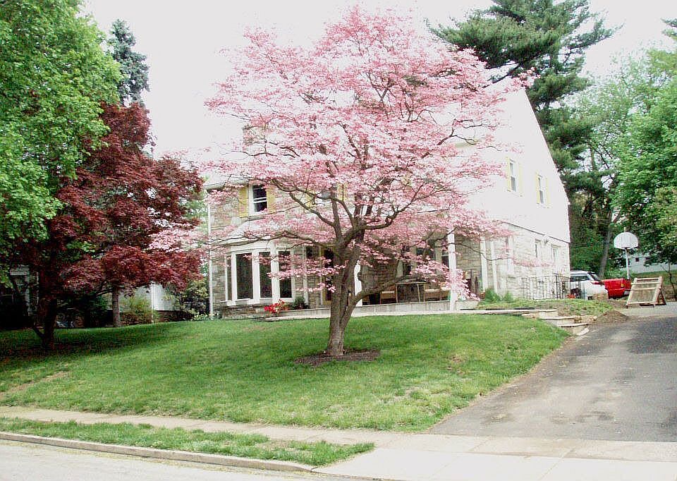 April 2009