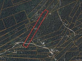 000 Lamartine Road, Idaho Springs, CO 80452