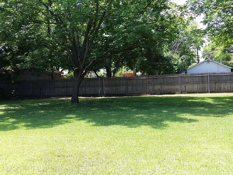 Back yard