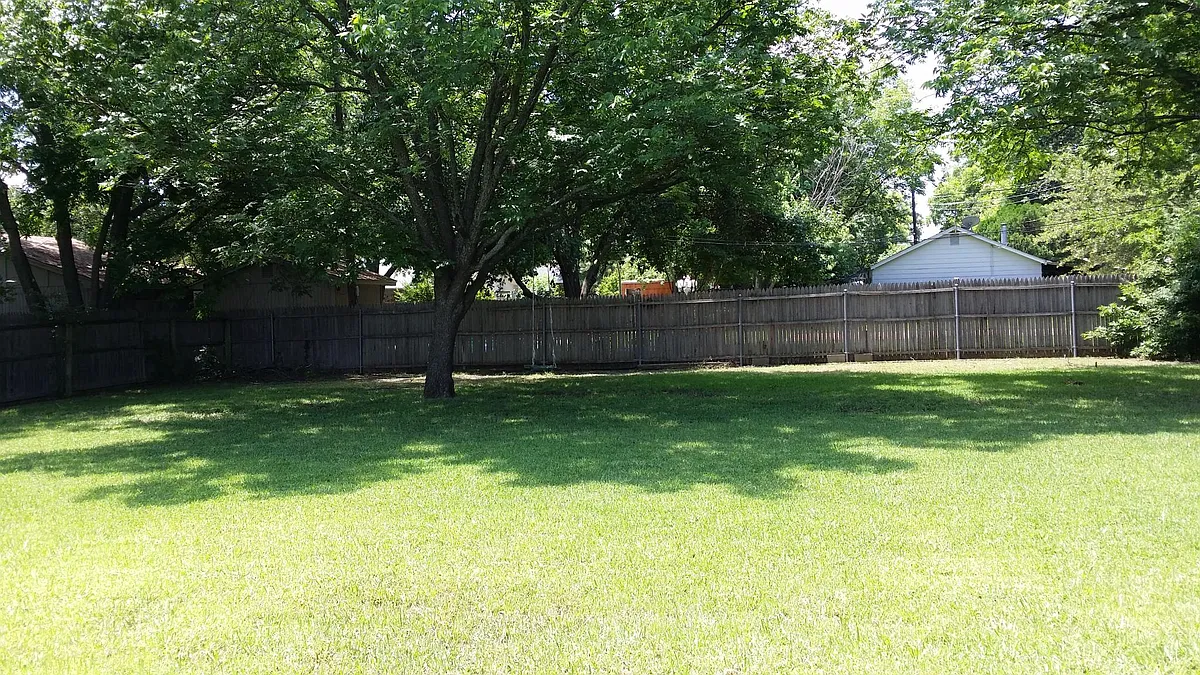 Back yard - 806 Keller Ave