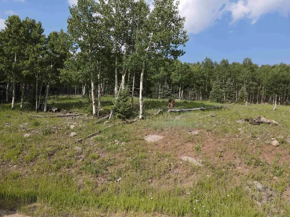 El Camino Real, Angel Fire, NM 87710