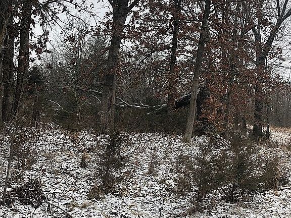 4th image of 1382 Big Buffalo Rd
