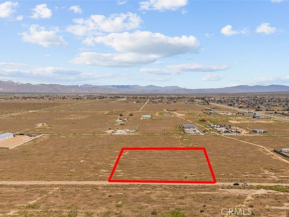 2nd image of LOT 33