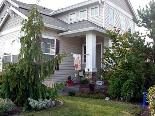 Another side view