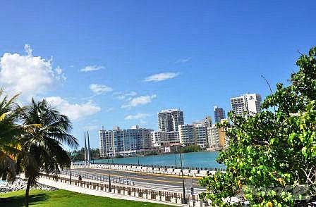 SG View