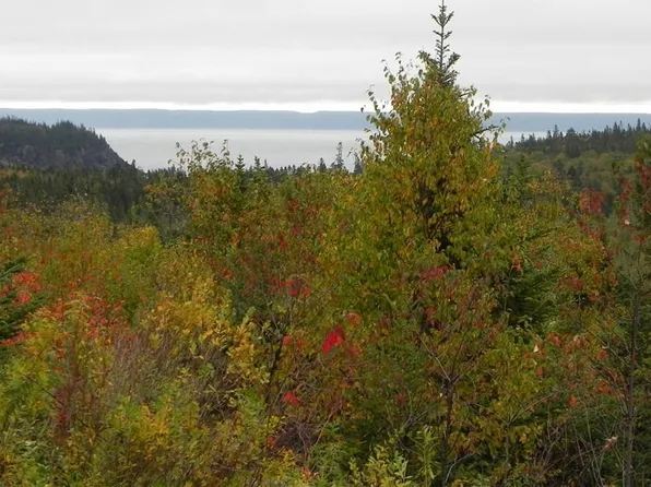 Lot 52, 54 Dixie Road, Trescott Twp, ME 04652