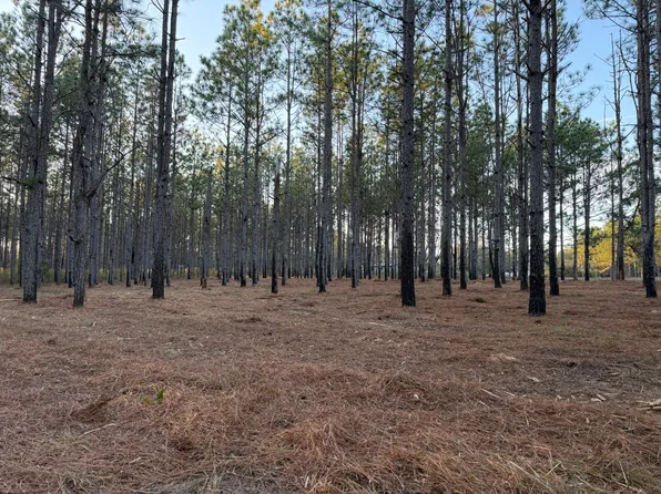 1 County Road 1166, Troy, AL 36079