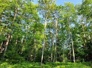 14550 Shoreline Dr, Wolverine, MI 49799