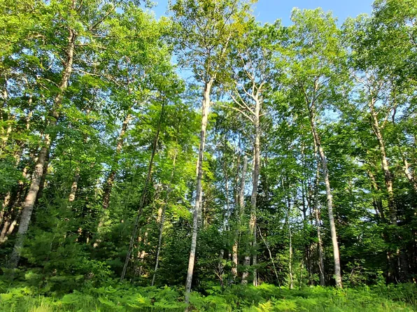 14550 Shoreline Dr, Wolverine, MI 49799