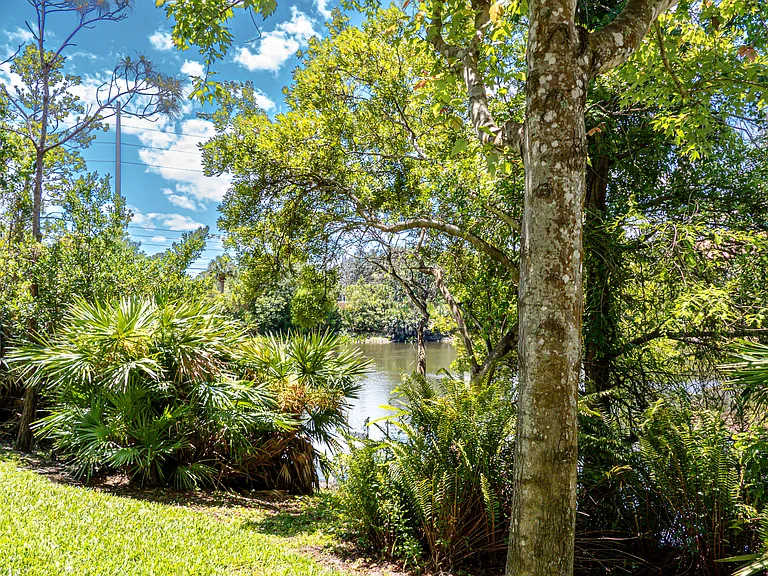 Rear view of pond from patio