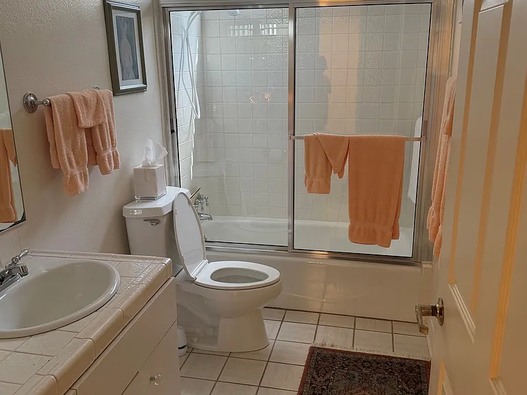 Guest Bath 01